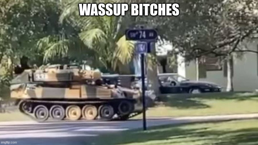 tank | WASSUP BITCHES | image tagged in tank | made w/ Imgflip meme maker