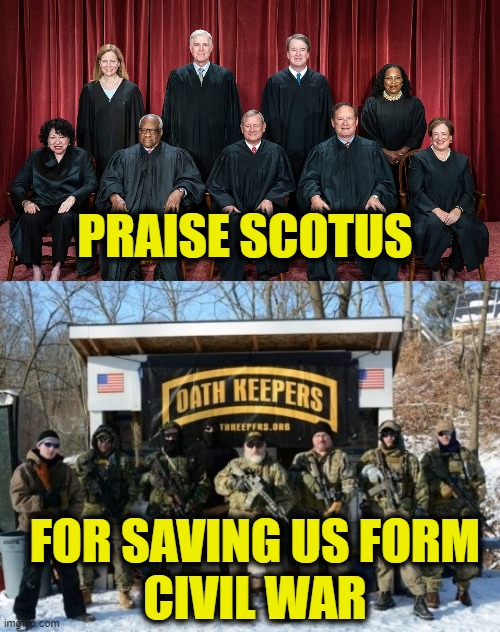The system does work | PRAISE SCOTUS; FOR SAVING US FORM
CIVIL WAR | image tagged in democracy | made w/ Imgflip meme maker