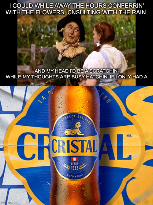 I COULD WHILE AWAY THE HOURS CONFERRIN' WITH THE FLOWERS, CNSULTING WITH THE RAIN; AND MY HEAD I'D BE A SCRATCHIN'
WHILE MY THOUGHTS ARE BUSY HATCHIN' IF I ONLY HAD A | image tagged in wizard of oz scarecrow,cerveza cristal | made w/ Imgflip meme maker