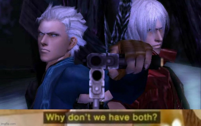 image tagged in dante and vergil don't like you,memes,why not both | made w/ Imgflip meme maker