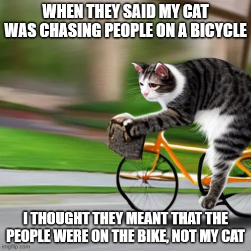 meme by Brad my fucat chased people on a bicycle | WHEN THEY SAID MY CAT WAS CHASING PEOPLE ON A BICYCLE; I THOUGHT THEY MEANT THAT THE PEOPLE WERE ON THE BIKE, NOT MY CAT | image tagged in cats,funny,funny cat memes,humor,bicycle | made w/ Imgflip meme maker
