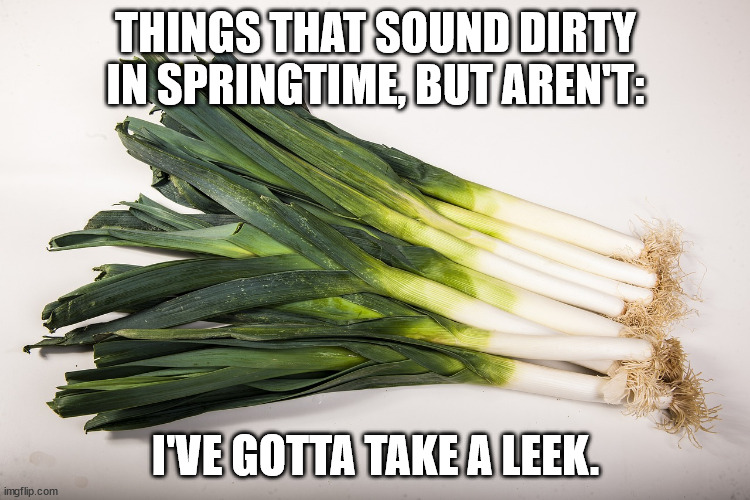 Things That Sound Dirty: Springtime Edition (Part 3) | THINGS THAT SOUND DIRTY IN SPRINGTIME, BUT AREN'T:; I'VE GOTTA TAKE A LEEK. | image tagged in leeks,humor,funny,pun,double entendre | made w/ Imgflip meme maker