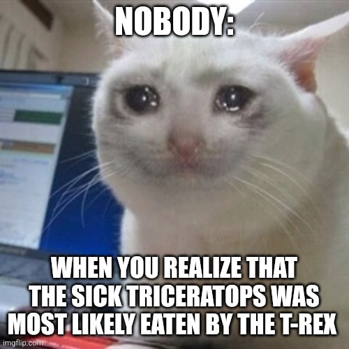 Rexy ate the Triceratops??? | NOBODY:; WHEN YOU REALIZE THAT THE SICK TRICERATOPS WAS MOST LIKELY EATEN BY THE T-REX | image tagged in crying cat,sad,jurassic world,jpfan102504 | made w/ Imgflip meme maker