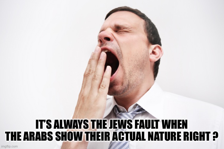 yawn | IT’S ALWAYS THE JEWS FAULT WHEN THE ARABS SHOW THEIR ACTUAL NATURE RIGHT ? | image tagged in yawn | made w/ Imgflip meme maker