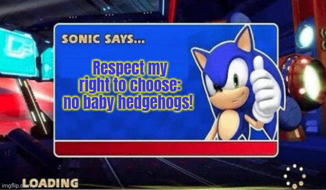 Sonic Says | Respect my right to choose: no baby hedgehogs! | image tagged in sonic says | made w/ Imgflip meme maker
