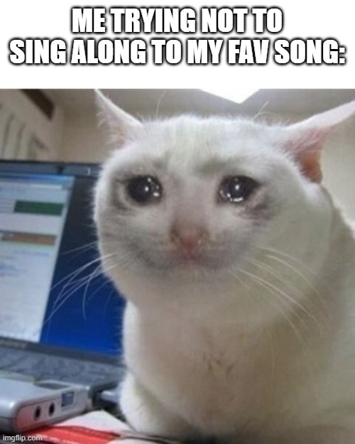 Can't help it | ME TRYING NOT TO SING ALONG TO MY FAV SONG: | image tagged in crying cat,memes,song | made w/ Imgflip meme maker