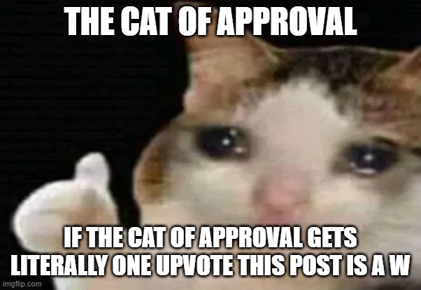 cat approved | THE CAT OF APPROVAL IF THE CAT OF APPROVAL GETS LITERALLY ONE UPVOTE THIS POST IS A W | image tagged in cat approved | made w/ Imgflip meme maker