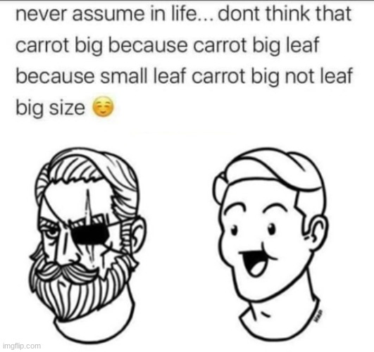 image tagged in before and after shaving beard | made w/ Imgflip meme maker
