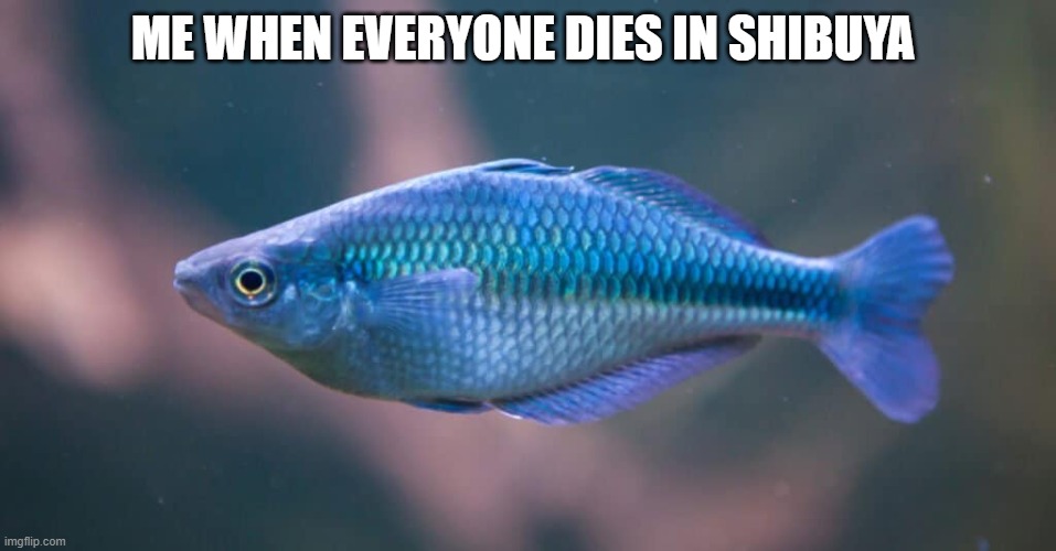 FISH | ME WHEN EVERYONE DIES IN SHIBUYA | image tagged in fish | made w/ Imgflip meme maker