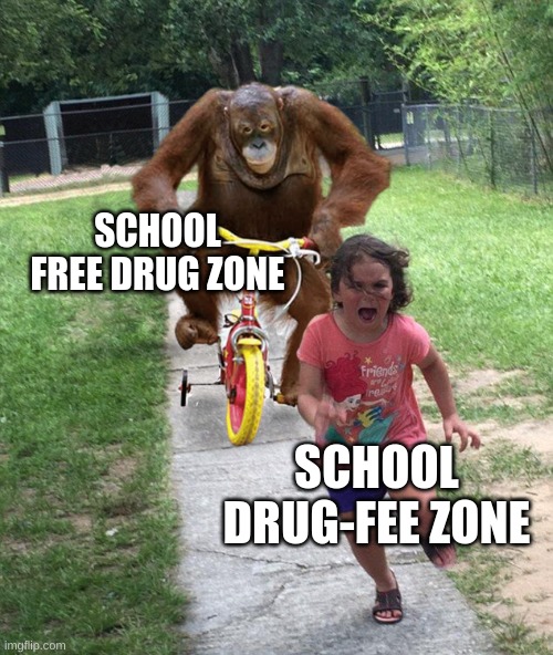 Orangutan chasing girl on a tricycle | SCHOOL FREE DRUG ZONE SCHOOL DRUG-FEE ZONE | image tagged in orangutan chasing girl on a tricycle | made w/ Imgflip meme maker