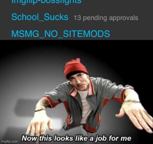 yes, i am a mod here | image tagged in now this looks like a job for me | made w/ Imgflip meme maker