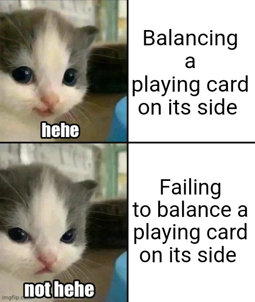 I tried so many times to get a playing card to stand on its side | Balancing a playing card on its side; Failing to balance a playing card on its side | image tagged in cute cat hehe and not hehe,jpfan102504 | made w/ Imgflip meme maker