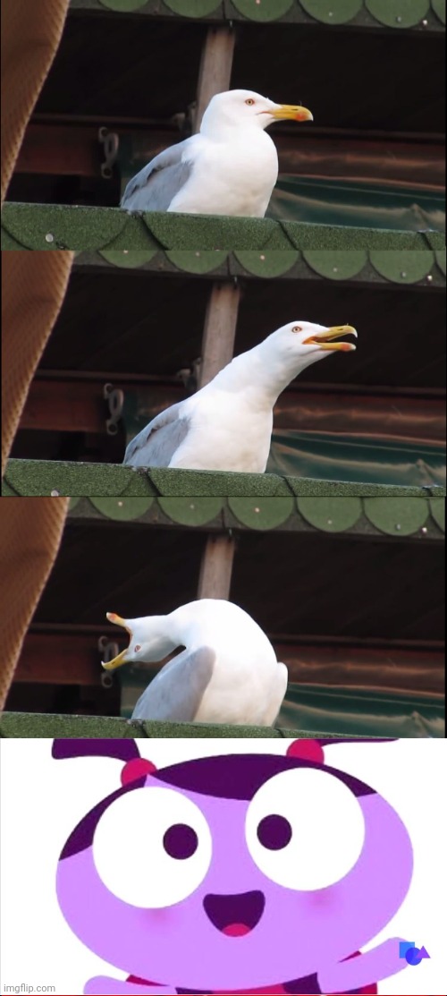 Seagull turns into Ladybird Lu | image tagged in memes,inhaling seagull,ladybird lu,lu and the bally bunch | made w/ Imgflip meme maker