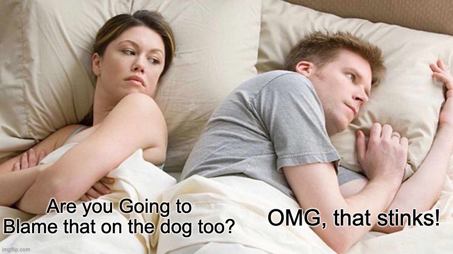 I Bet He's Thinking About Other Women Meme | OMG, that stinks! Are you Going to Blame that on the dog too? | image tagged in memes,i bet he's thinking about other women | made w/ Imgflip meme maker