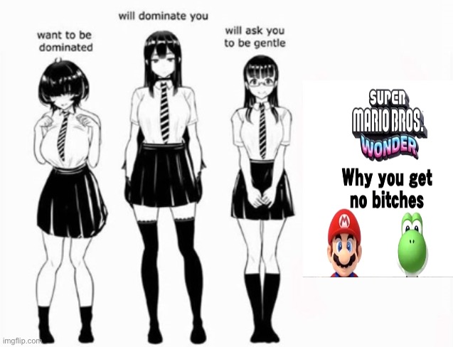 Mario wonders why you get no bitches | image tagged in domination stats,super mario | made w/ Imgflip meme maker