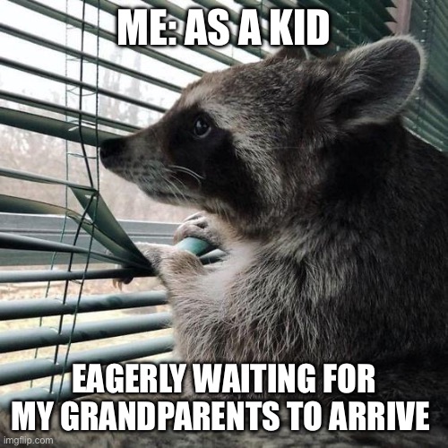 Waiting for Grandparents | ME: AS A KID; EAGERLY WAITING FOR MY GRANDPARENTS TO ARRIVE | image tagged in grandparents,waiting,family,kid,window | made w/ Imgflip meme maker