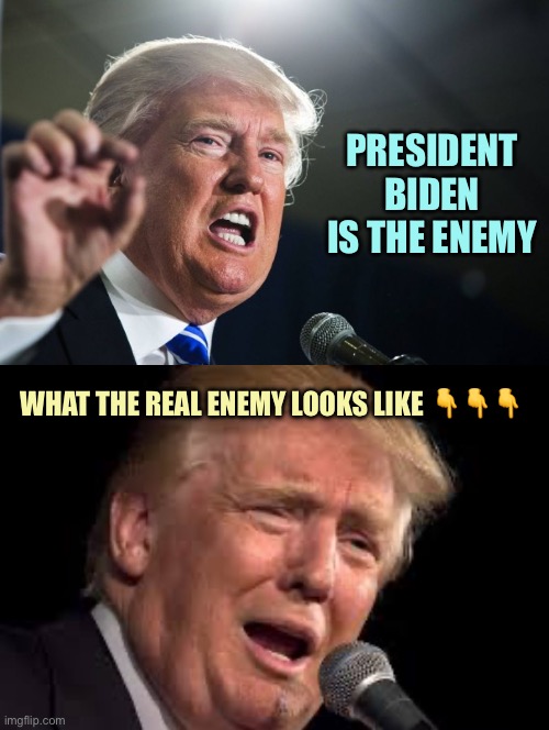 It’s on | PRESIDENT BIDEN IS THE ENEMY; WHAT THE REAL ENEMY LOOKS LIKE 👇👇👇 | image tagged in donald trump,donald trump sad,memes | made w/ Imgflip meme maker
