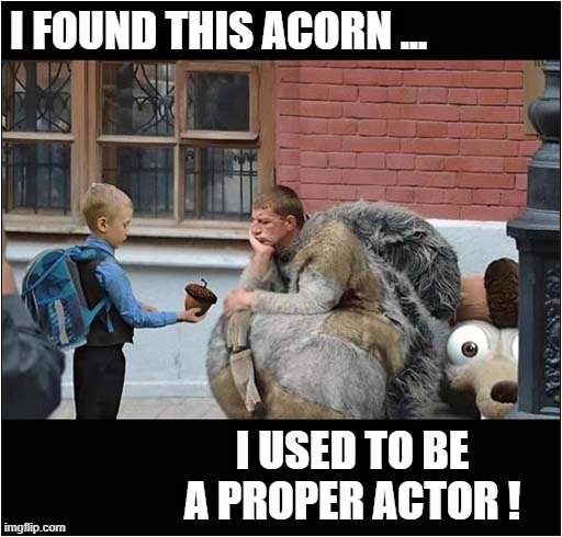 Life Not Going To Plan ? | I FOUND THIS ACORN ... I USED TO BE A PROPER ACTOR ! | image tagged in ice age,squirrel,acorn,bitter,actor | made w/ Imgflip meme maker