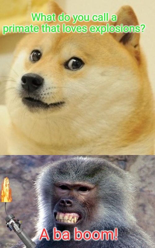 What do you call a primate that loves explosions? A ba boom! | image tagged in memes,doge,baboon | made w/ Imgflip meme maker