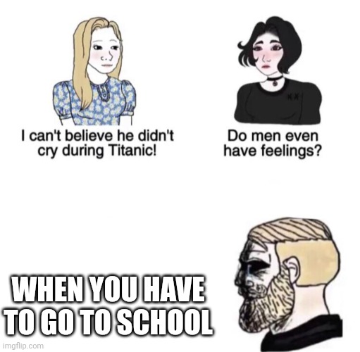 Chad crying | WHEN YOU HAVE TO GO TO SCHOOL | image tagged in chad crying | made w/ Imgflip meme maker