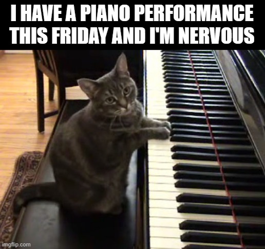 Ahhhhhh ??????? | I HAVE A PIANO PERFORMANCE THIS FRIDAY AND I'M NERVOUS | image tagged in cat piano,idk,tag | made w/ Imgflip meme maker