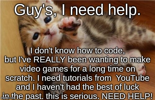 Please. help me, I don't know what to do..... | Guy's, I need help. I don't know how to code, but I've REALLY been wanting to make video games for a long time on scratch. I need tutorials from  YouTube and I haven't had the best of luck in the past. this is serious. NEED HELP! | image tagged in help me kitten,video games,please | made w/ Imgflip meme maker
