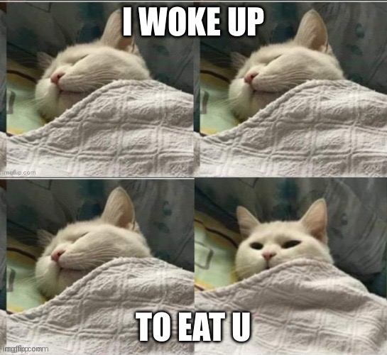 Cat sleeping uder blanket blank | I WOKE UP TO EAT U | image tagged in cat sleeping uder blanket blank | made w/ Imgflip meme maker