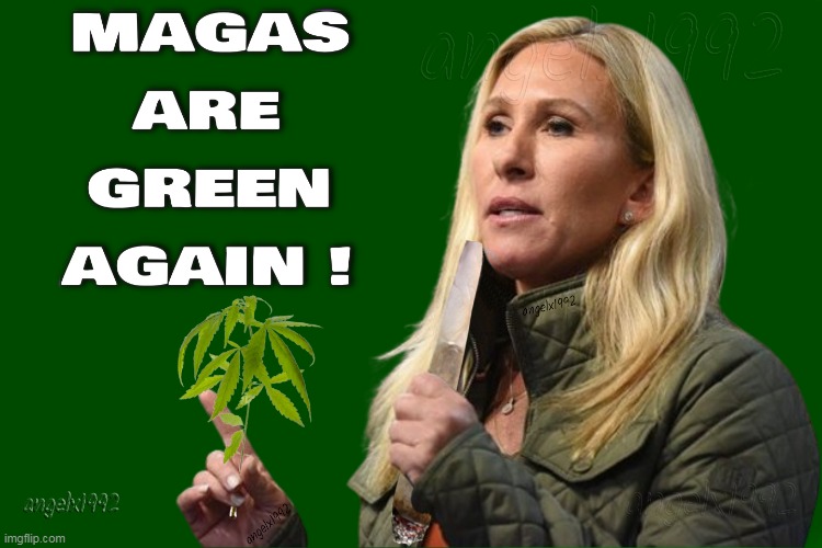 image tagged in marjorie taylor greene,maga morons,marijuana,clown car republicans,weed,cannabis | made w/ Imgflip meme maker