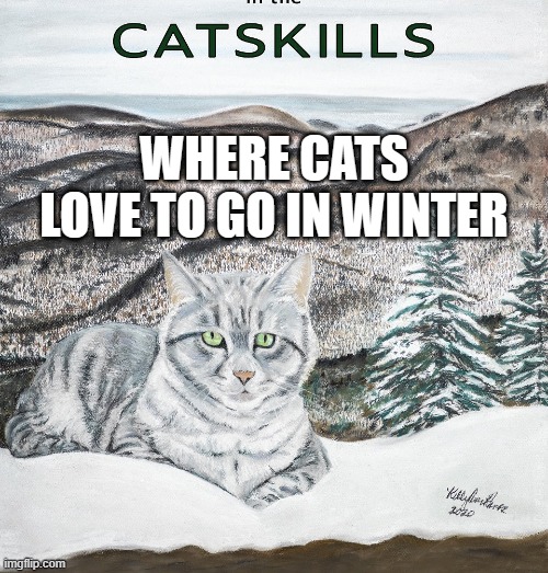 meme by Brad cats love the Catskills | WHERE CATS LOVE TO GO IN WINTER | image tagged in cats,funny,funny cat memes,humor,funny cats | made w/ Imgflip meme maker
