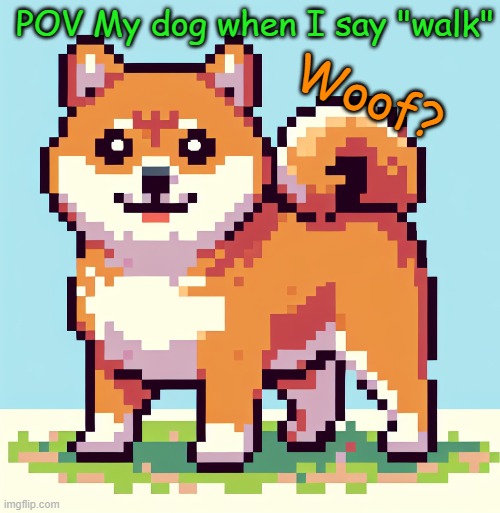 I WANNA GO FOR A WALK! | Woof? POV My dog when I say "walk" | image tagged in doge pixel | made w/ Imgflip meme maker