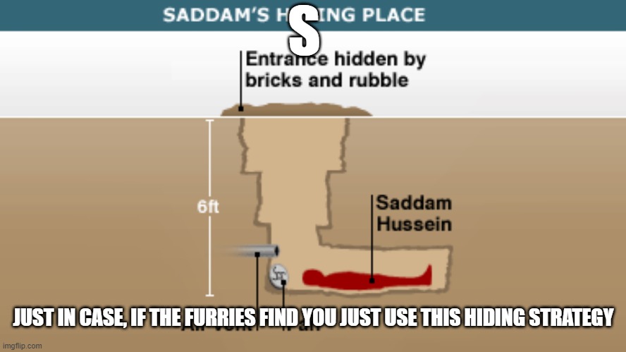 Saddam's Hiding Place | S; JUST IN CASE, IF THE FURRIES FIND YOU JUST USE THIS HIDING STRATEGY | image tagged in saddam's hiding place | made w/ Imgflip meme maker