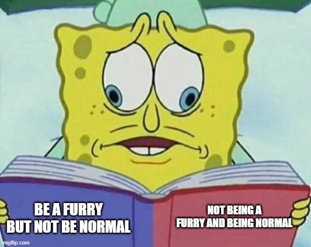 cross eyed spongebob | BE A FURRY BUT NOT BE NORMAL NOT BEING A FURRY AND BEING NORMAL | image tagged in cross eyed spongebob | made w/ Imgflip meme maker