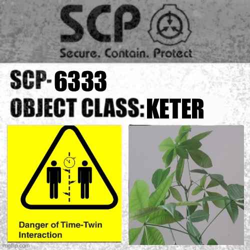 SCP-6333 label | 6333; KETER | image tagged in scp label template thaumiel/neutralized | made w/ Imgflip meme maker