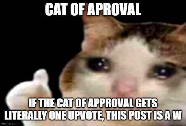 My new template! | image tagged in cat of aproval | made w/ Imgflip meme maker