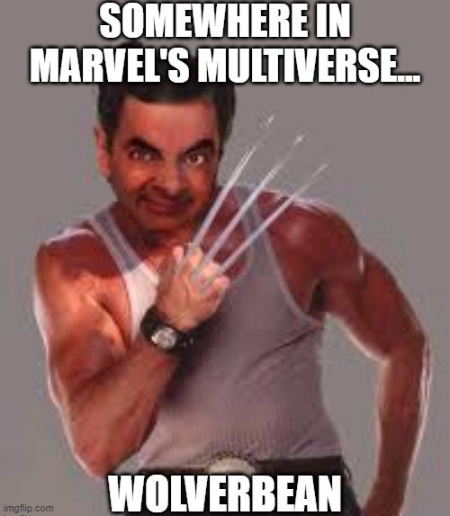 Make I Happen Marvel | SOMEWHERE IN MARVEL'S MULTIVERSE... | image tagged in marvel,wolverine | made w/ Imgflip meme maker