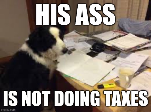 dog | HIS ASS; IS NOT DOING TAXES | image tagged in dog | made w/ Imgflip meme maker