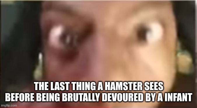 This once happened with a friend of mine that had their hamster eaten by a kid | THE LAST THING A HAMSTER SEES BEFORE BEING BRUTALLY DEVOURED BY A INFANT | image tagged in ishowspeed getting close | made w/ Imgflip meme maker