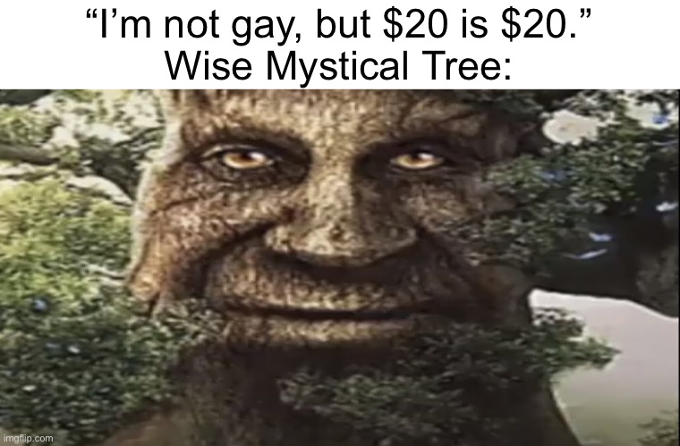 Wise mystical tree | “I’m not gay, but $20 is $20.”
Wise Mystical Tree: | image tagged in wise mystical tree | made w/ Imgflip meme maker