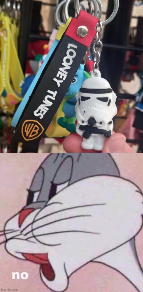 Not Looney Tunes | image tagged in no,looney tunes,keychain,keychains,memes,you had one job | made w/ Imgflip meme maker