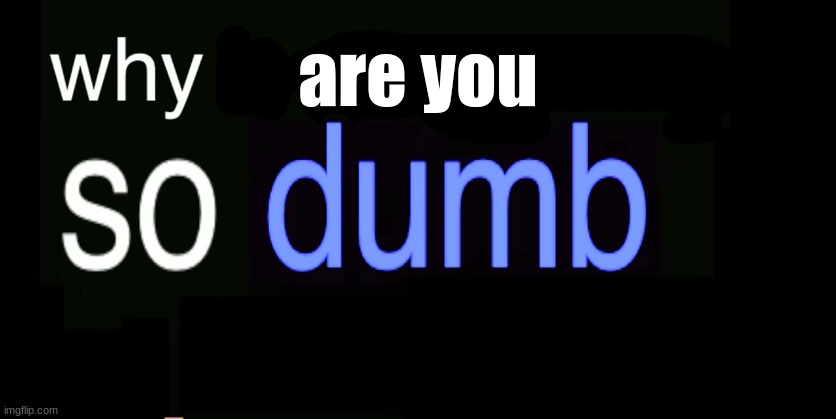 Why is everything so dumb | are you | image tagged in why is everything so dumb | made w/ Imgflip meme maker