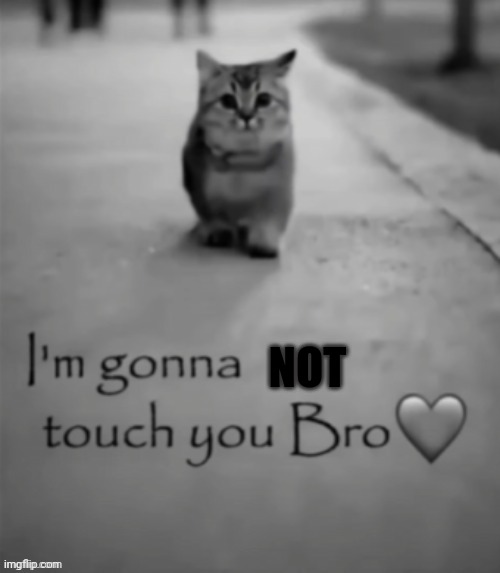 I'm gonna touch you bro | NOT | image tagged in i'm gonna touch you bro | made w/ Imgflip meme maker