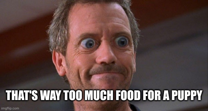 House Envy Do Want Big Eyes | THAT'S WAY TOO MUCH FOOD FOR A PUPPY | image tagged in house envy do want big eyes | made w/ Imgflip meme maker