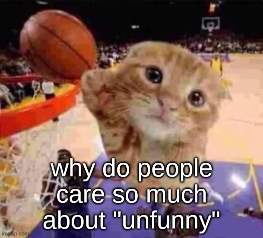i | why do people care so much about "unfunny" | image tagged in ballin cat | made w/ Imgflip meme maker