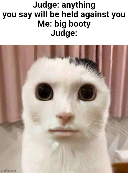 Guys i spent 50k on a chasing scene, i think i accidentally creamed at the results | Judge: anything you say will be held against you
Me: big booty
Judge: | image tagged in my honest reaction | made w/ Imgflip meme maker