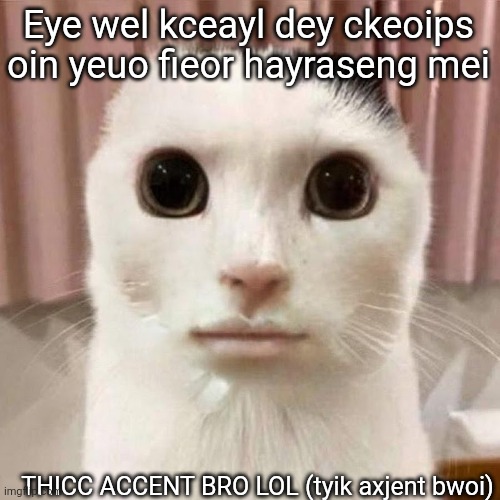 My honest reaction | Eye wel kceayl dey ckeoips oin yeuo fieor hayraseng mei; THICC ACCENT BRO LOL (tyik axjent bwoi) | image tagged in my honest reaction | made w/ Imgflip meme maker