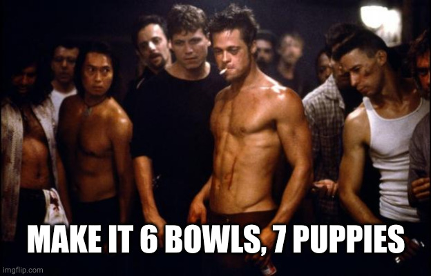 Fight Club Template  | MAKE IT 6 BOWLS, 7 PUPPIES | image tagged in fight club template | made w/ Imgflip meme maker