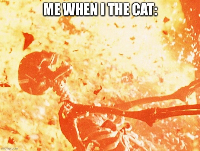 Please do not the cat | ME WHEN I THE CAT: | image tagged in fire skeleton | made w/ Imgflip meme maker