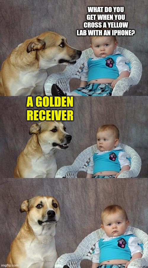 Dad Joke Dog | WHAT DO YOU GET WHEN YOU CROSS A YELLOW LAB WITH AN IPHONE? A GOLDEN RECEIVER | image tagged in memes,dad joke dog | made w/ Imgflip meme maker