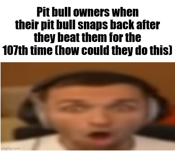 https://imgflip.com/i/8i9vqx | Pit bull owners when their pit bull snaps back after they beat them for the 107th time (how could they do this) | image tagged in flabergasted | made w/ Imgflip meme maker