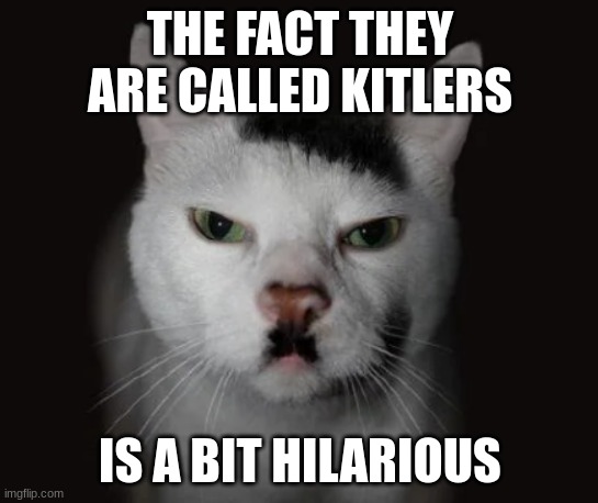 what if hiter's soul is now possesing a kitler. yes there called that and they exist | THE FACT THEY ARE CALLED KITLERS; IS A BIT HILARIOUS | image tagged in kitler | made w/ Imgflip meme maker
